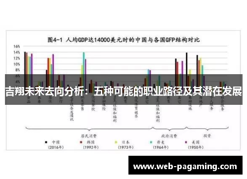 吉翔未来去向分析：五种可能的职业路径及其潜在发展