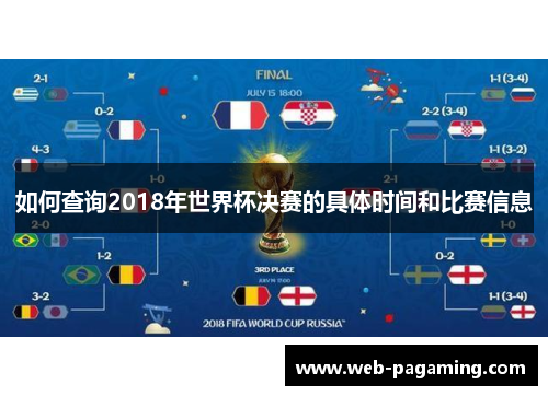 如何查询2018年世界杯决赛的具体时间和比赛信息