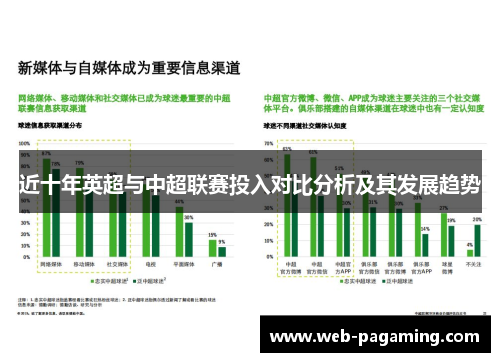 近十年英超与中超联赛投入对比分析及其发展趋势