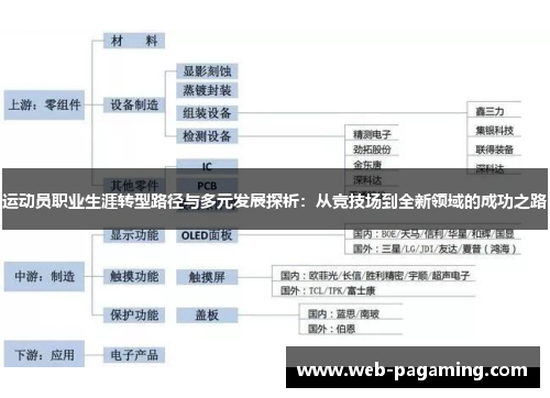 运动员职业生涯转型路径与多元发展探析：从竞技场到全新领域的成功之路