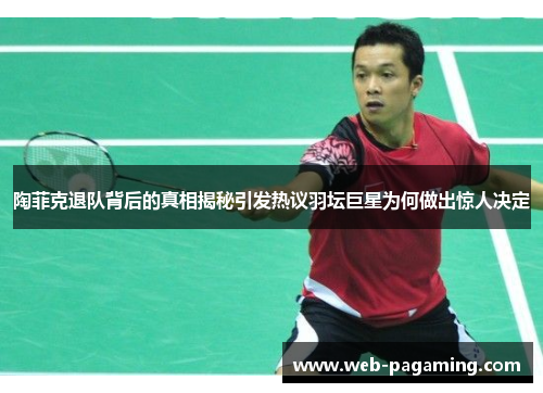 陶菲克退队背后的真相揭秘引发热议羽坛巨星为何做出惊人决定