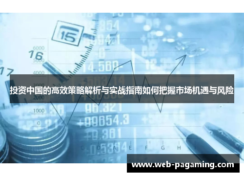 投资中国的高效策略解析与实战指南如何把握市场机遇与风险