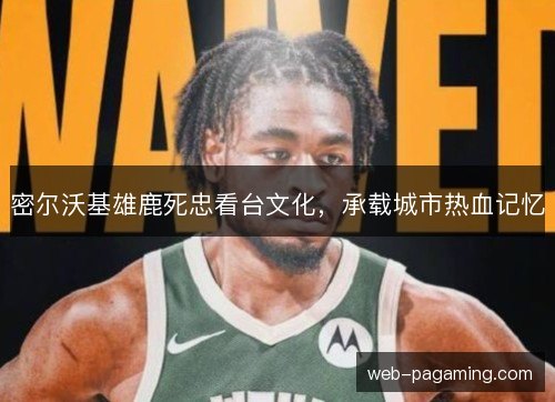 密尔沃基雄鹿死忠看台文化，承载城市热血记忆